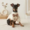 White Waffle Knit Dog Coat with Bow