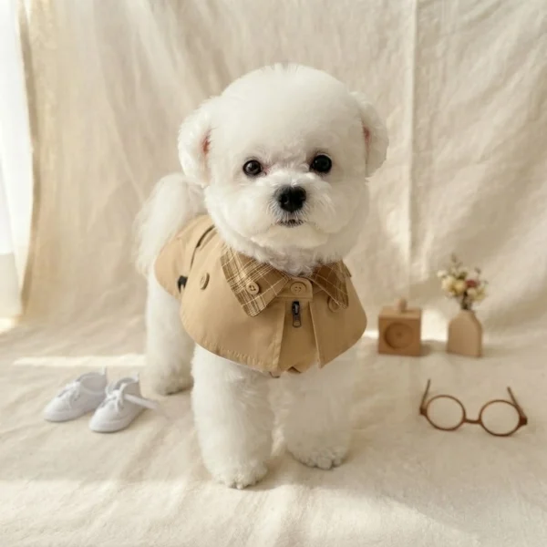Windproof dog trench coat